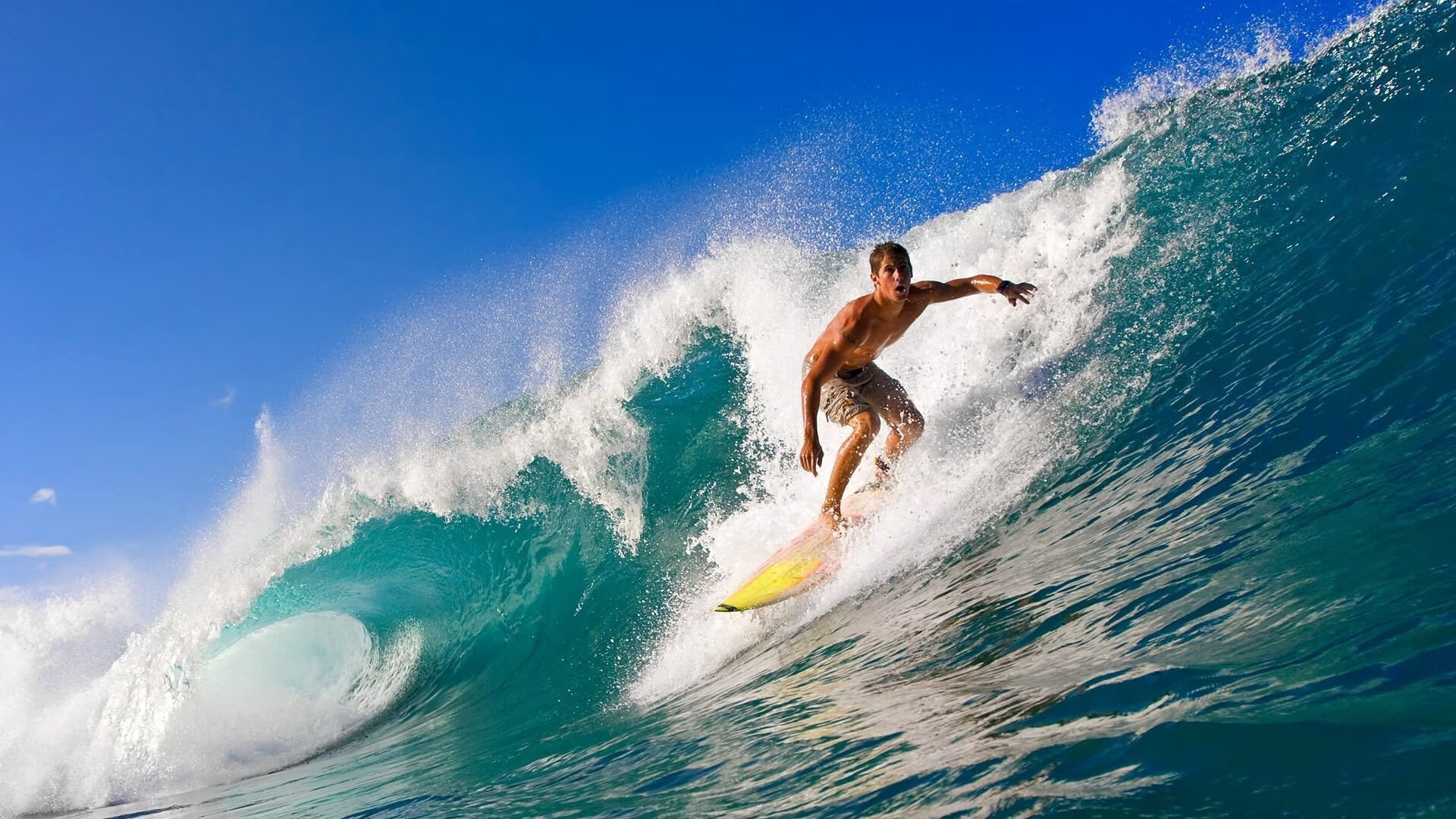 《FIFA》电竞联赛观众数创新高，喜迎年度盛典，fifa电竞选手排名